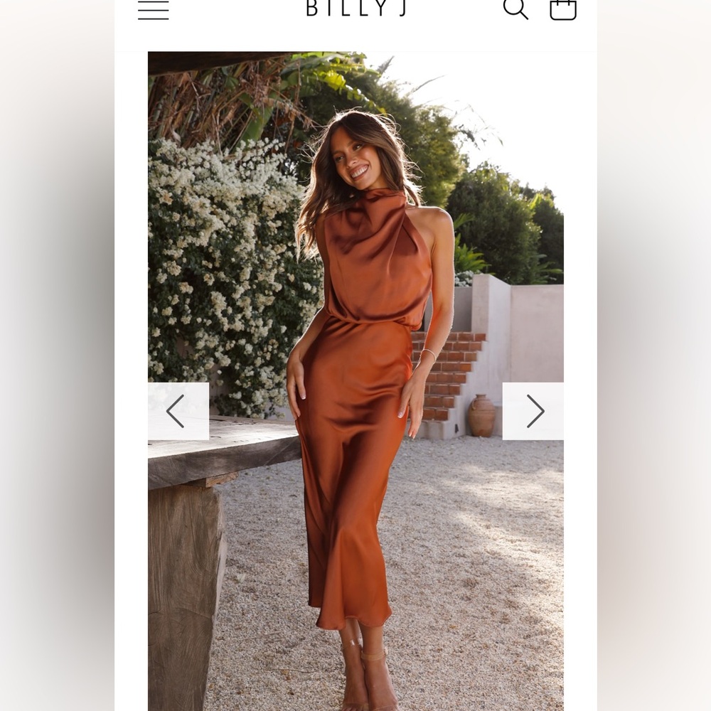 Billy J: Esther Maxi Dress - copper (size 18) tags still attached/never worn!